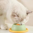 Anti-Slip Cat Slow Feeder Licking Plate – Interactive Food Toy for Cats