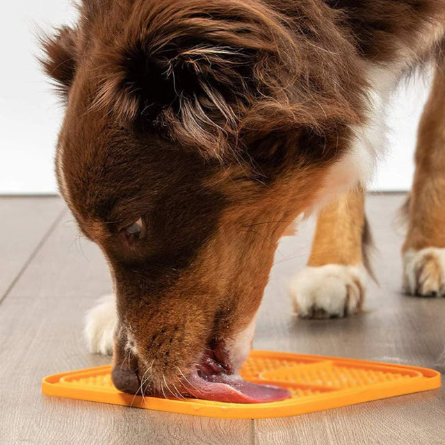 Anti-Slip Cat Slow Feeder Licking Plate – Interactive Food Toy for Cats
