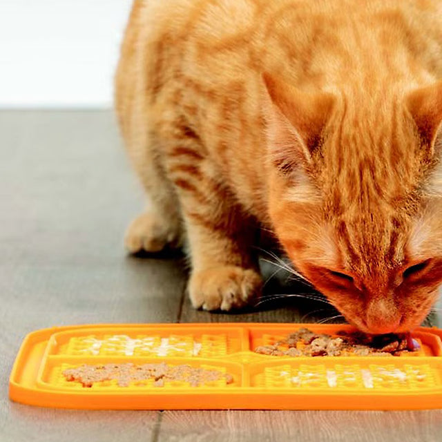 Anti-Slip Cat Slow Feeder Licking Plate – Interactive Food Toy for Cats