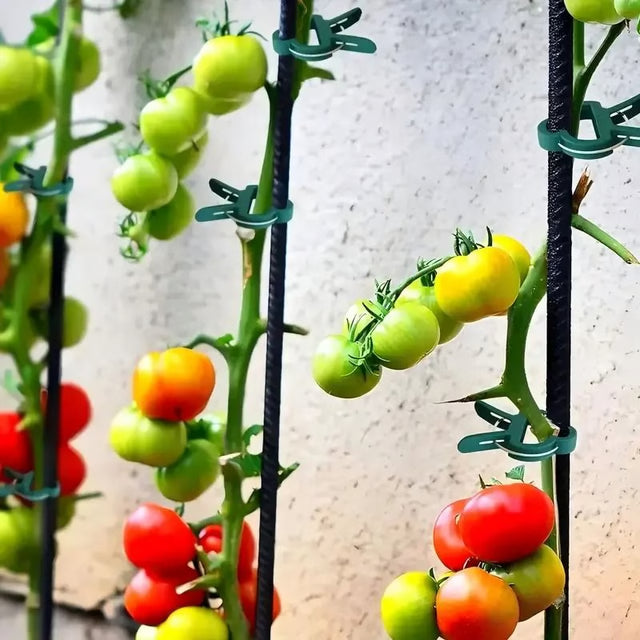 20pcs Adjustable Plant Clips – Reusable Garden Supports for Vines, Tomatoes, and Flowers