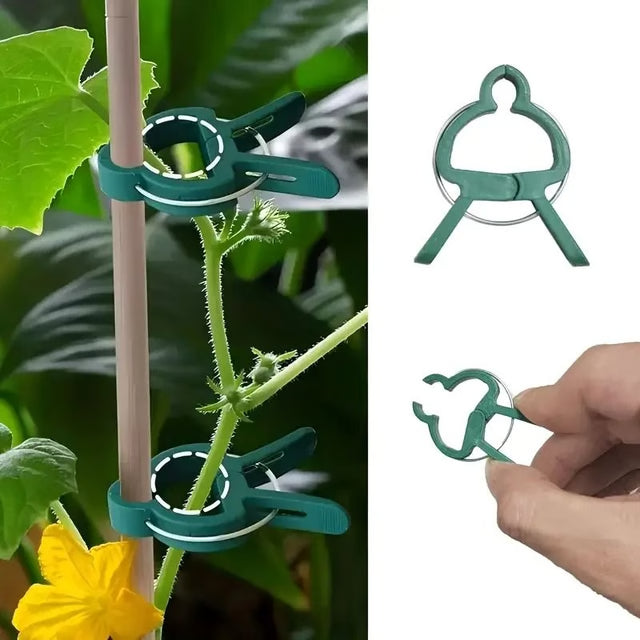 20pcs Adjustable Plant Clips – Reusable Garden Supports for Vines, Tomatoes, and Flowers
