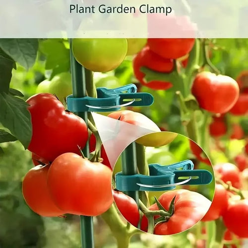 20pcs Adjustable Plant Clips – Reusable Garden Supports for Vines, Tomatoes, and Flowers