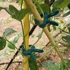 20pcs Adjustable Plant Clips – Reusable Garden Supports for Vines, Tomatoes, and Flowers