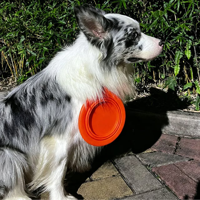 Collapsible Silicone Pet Travel Bowl – Portable Food and Water Dish with Carabiner