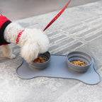 Collapsible Silicone Pet Bowl with Feeding Mat – Portable Dog and Cat Feeding Set