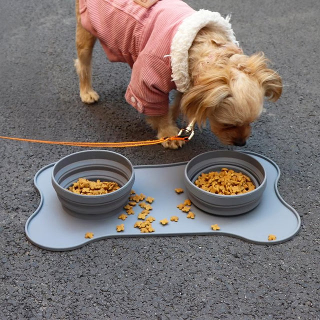 Collapsible Silicone Pet Bowl with Feeding Mat – Portable Dog and Cat Feeding Set